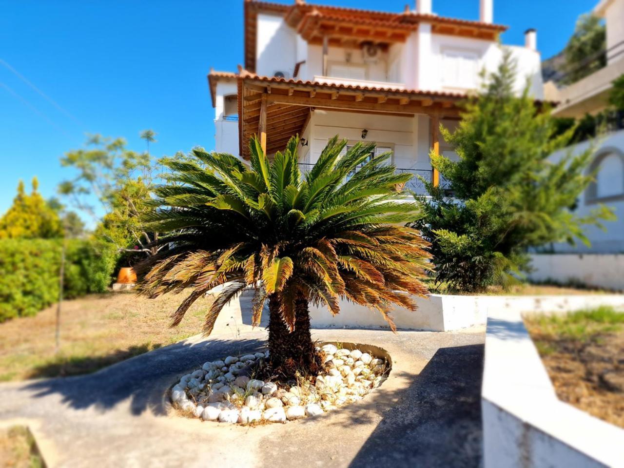 The Mirador Boutique Villa With Scenic Sea View Pórto Ráfti Zewnętrze zdjęcie